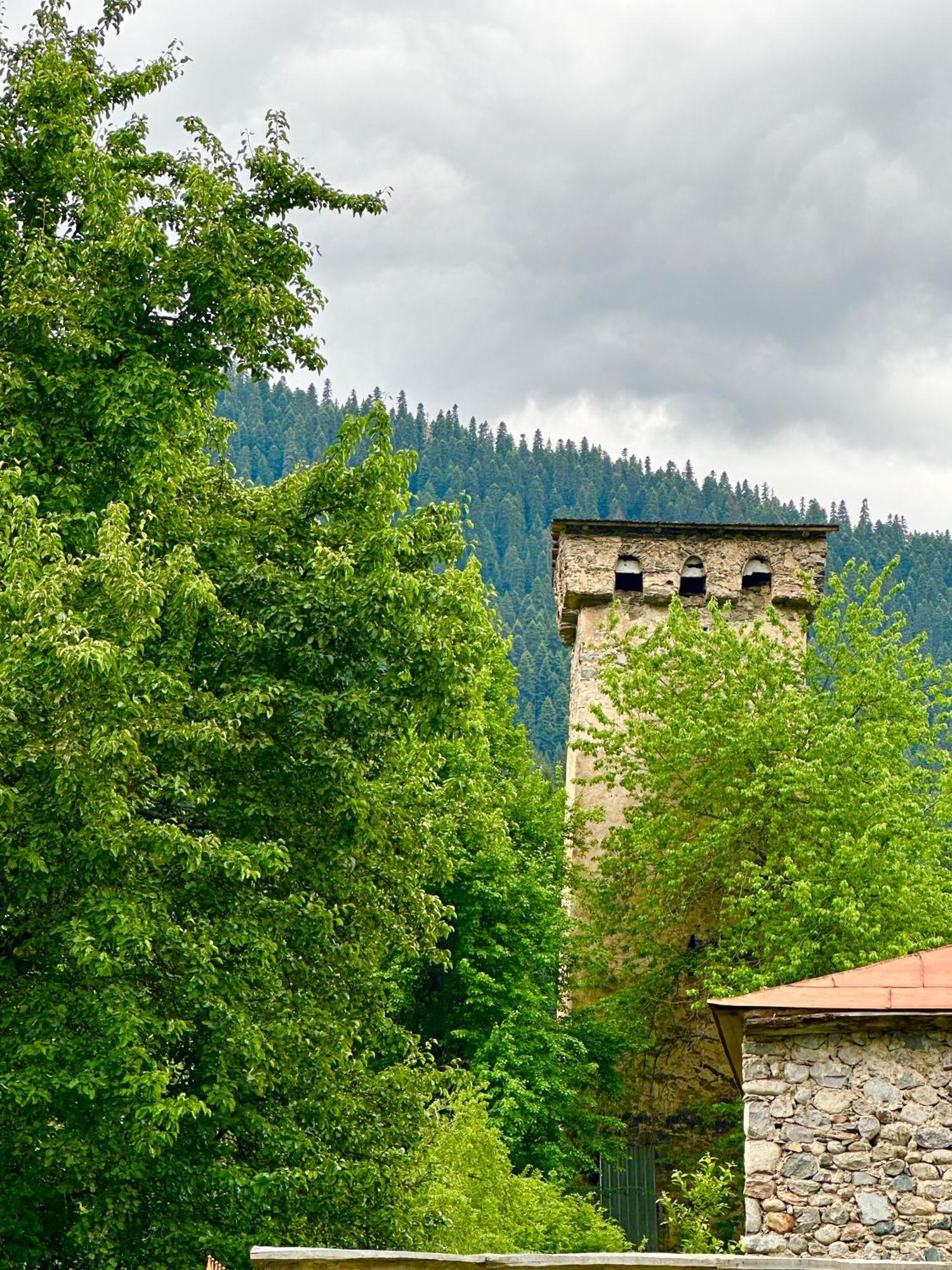 Mziuri Guest House Местия Екстериор снимка