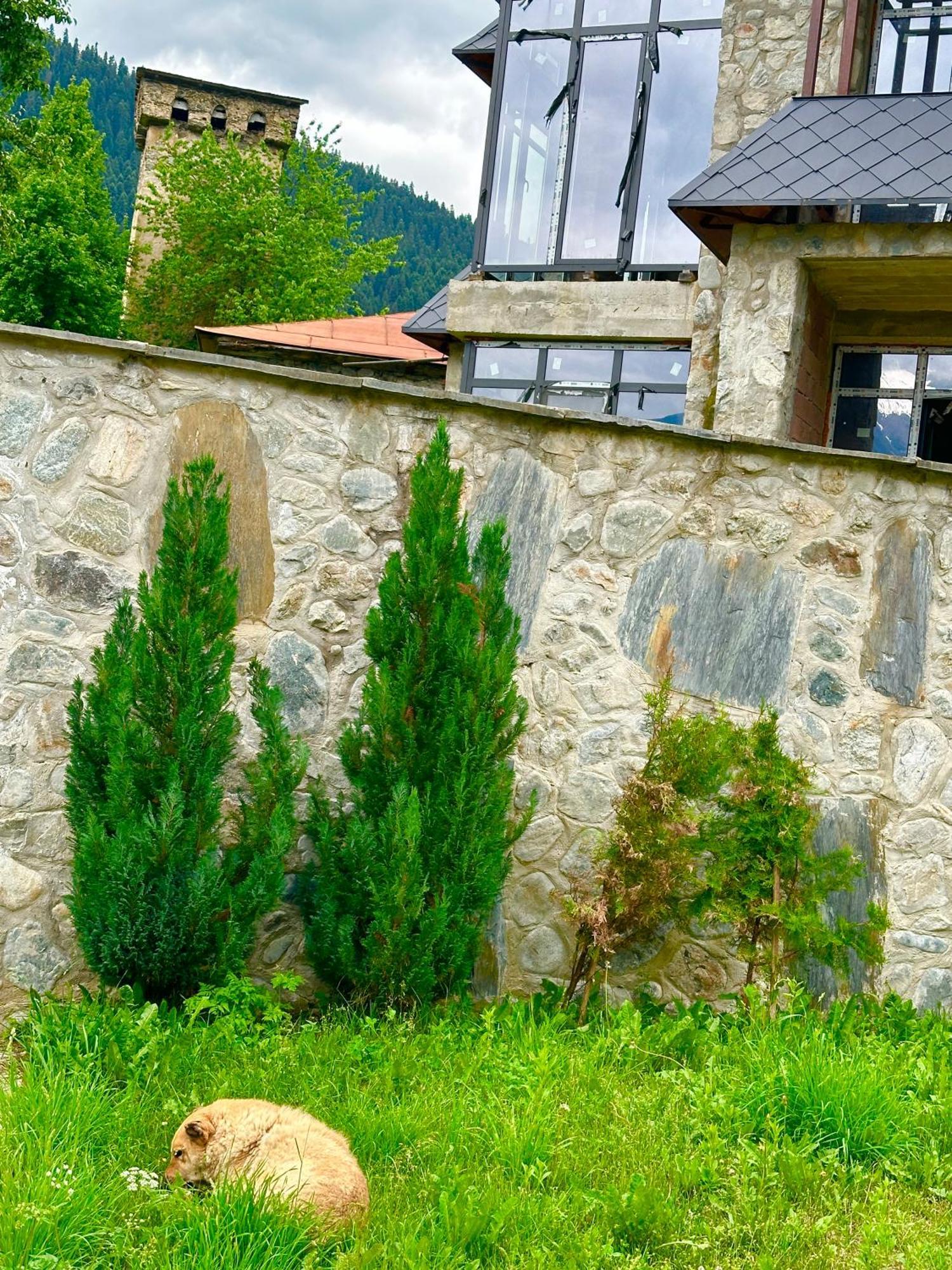 Mziuri Guest House Местия Екстериор снимка