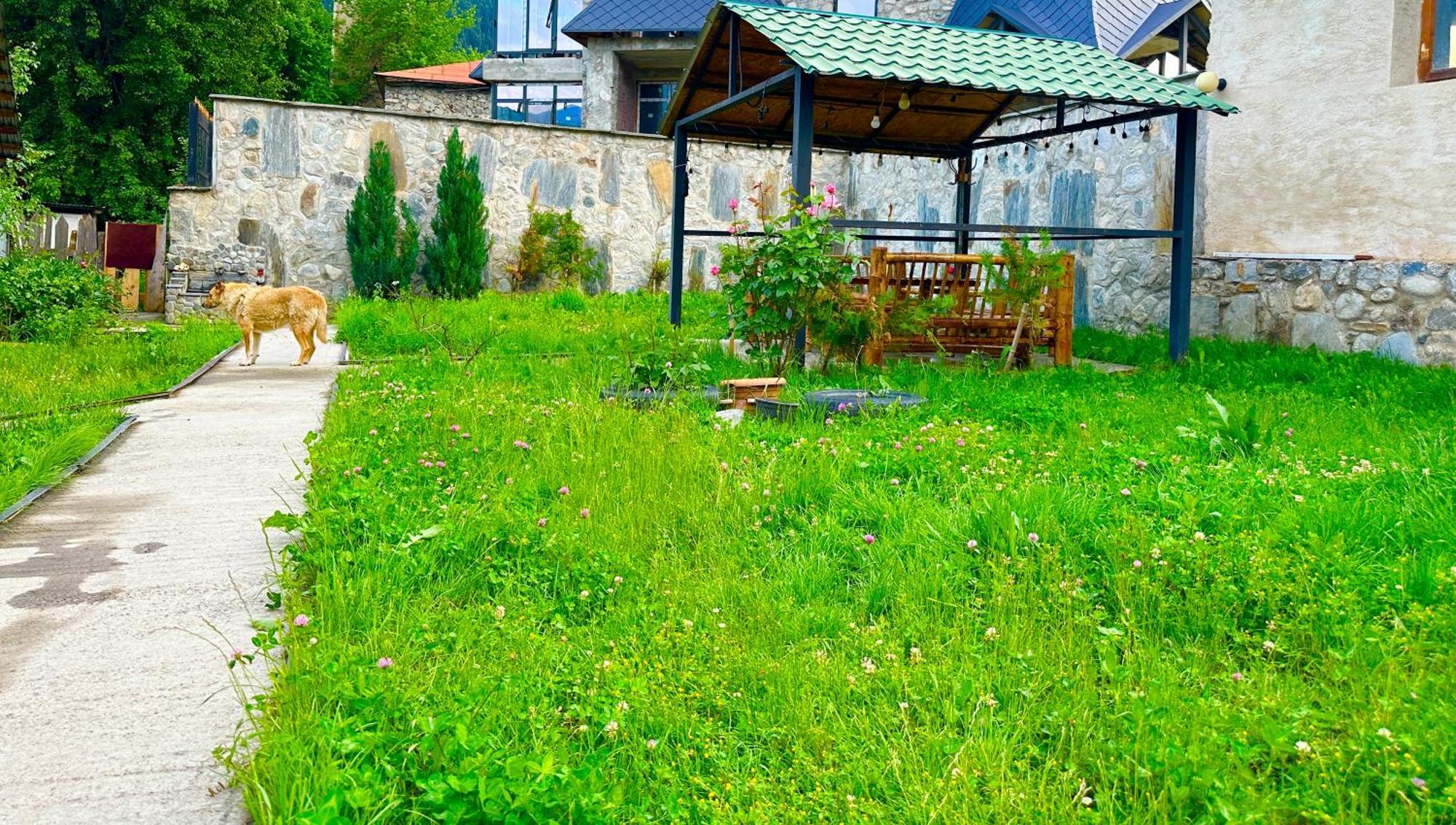 Mziuri Guest House Местия Екстериор снимка