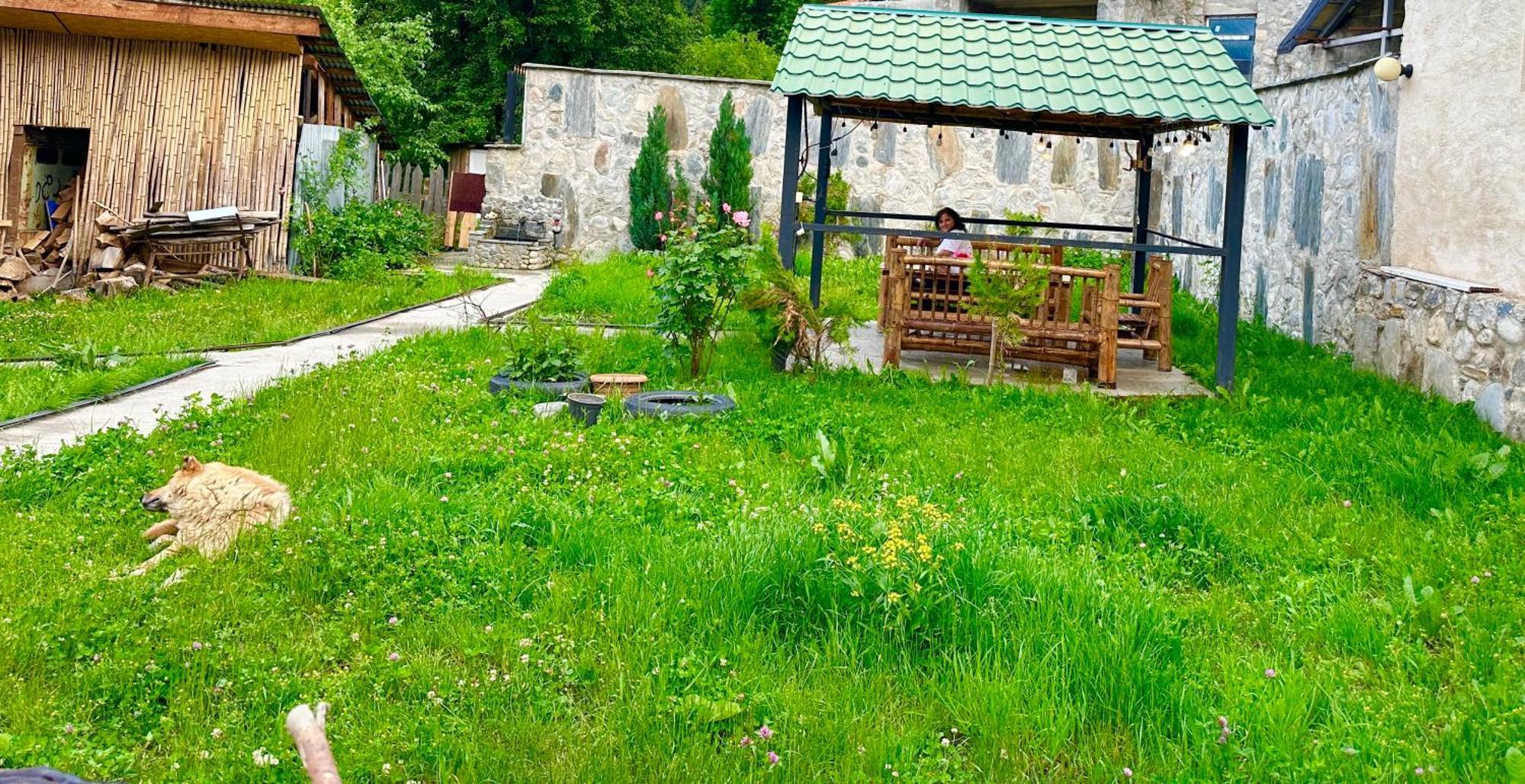 Mziuri Guest House Местия Екстериор снимка