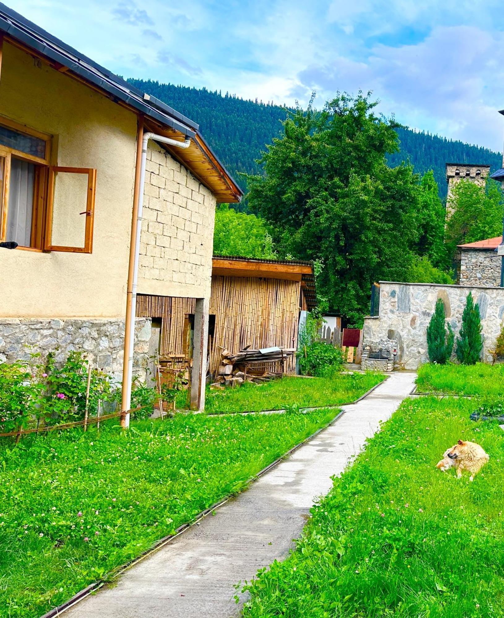 Mziuri Guest House Местия Екстериор снимка