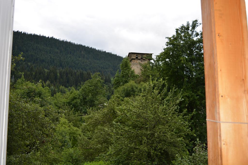 Mziuri Guest House Местия Екстериор снимка