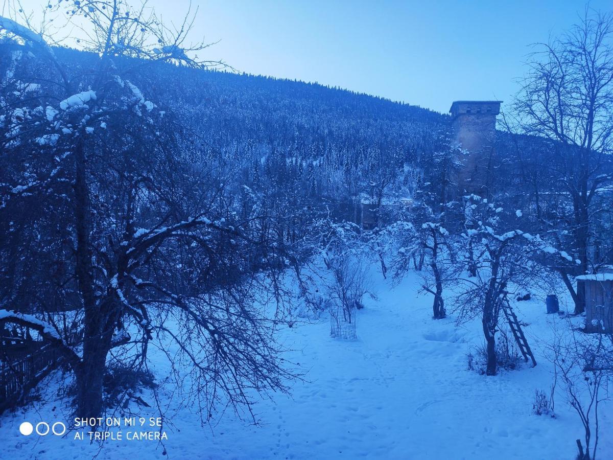 Mziuri Guest House Местия Екстериор снимка